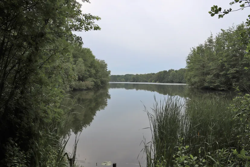 14 roeivijver drunen