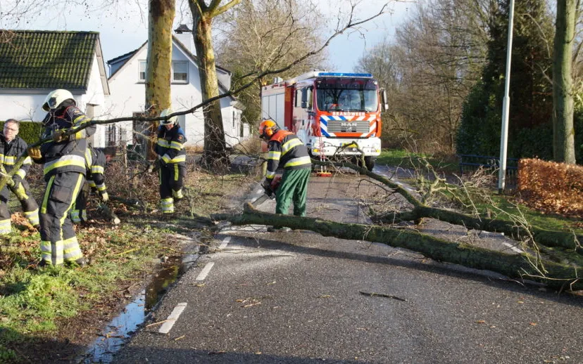 1552146709 picsay 915x518 1