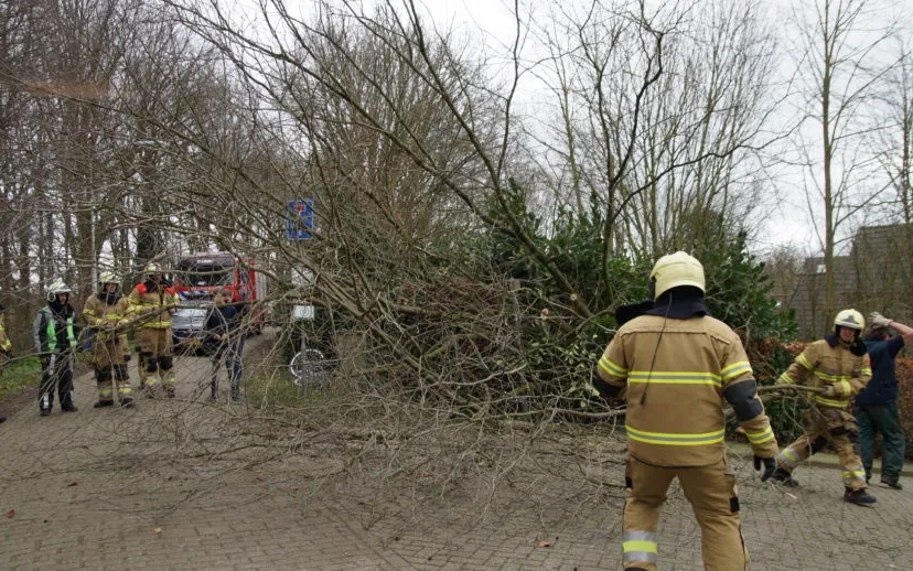 1581250363 picsay 915x518