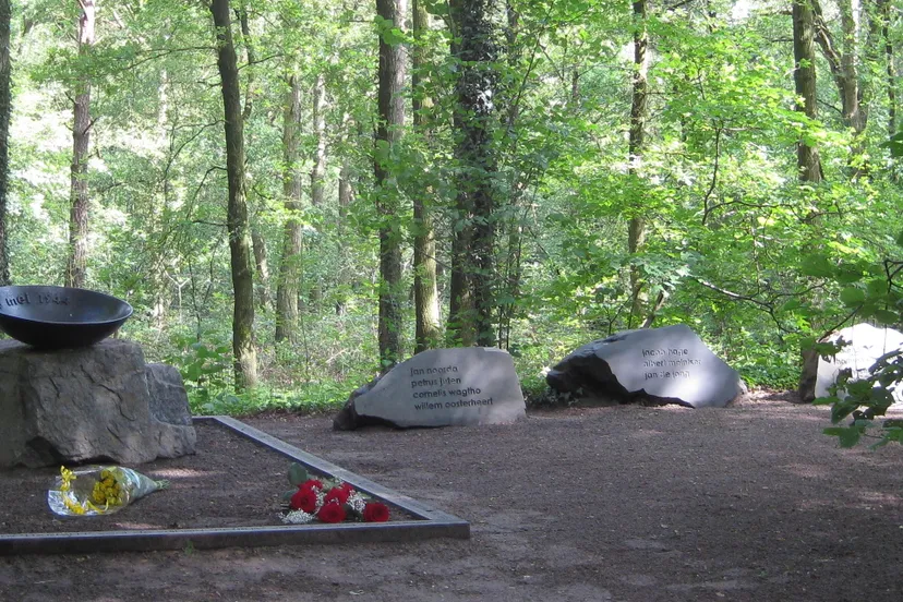 1584 b5cbc6539c17b3d66c24358345c95cb7