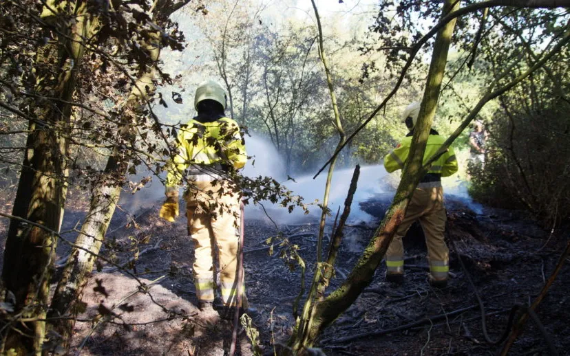 1593098000 picsay 915x518 1