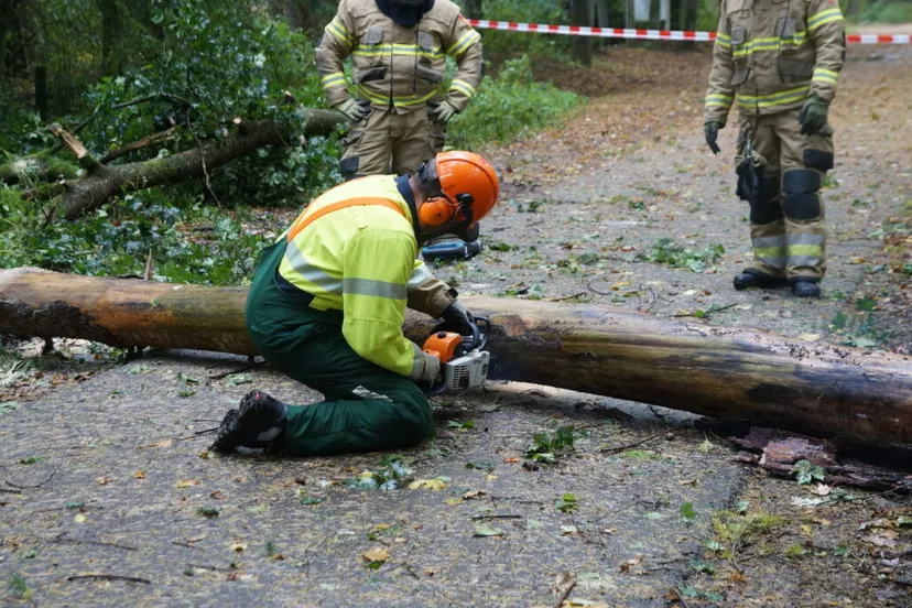 1634813583 picsay 1 1024x682 1