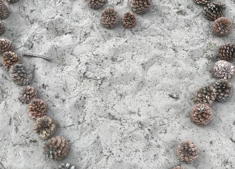 164498114 1803256756501307 6584958996817184684 o