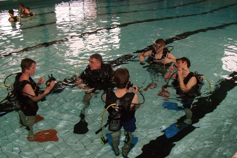 167419285 4476507909042822 8856583313911779198 n