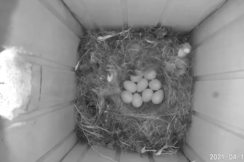 179619590 4187488018036183 5059981589721633750 n