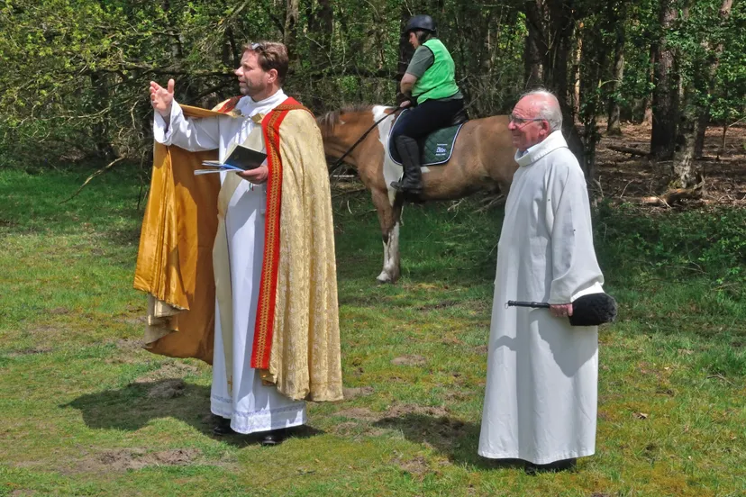 186281284 424129268679004 2811258571727155963 n