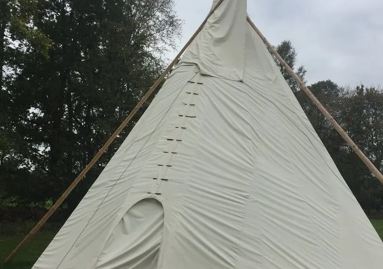 186510236 3440177359417673 4334022373637186666 n