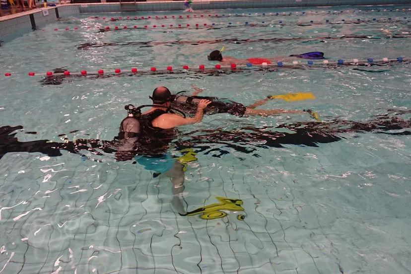 1c0bc72b 5d0b 4fb5 b2ab cc32fde44c7f