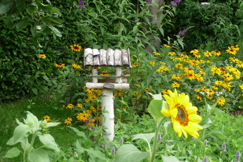 2020 07 08a tuin en voederhuisje p1080119