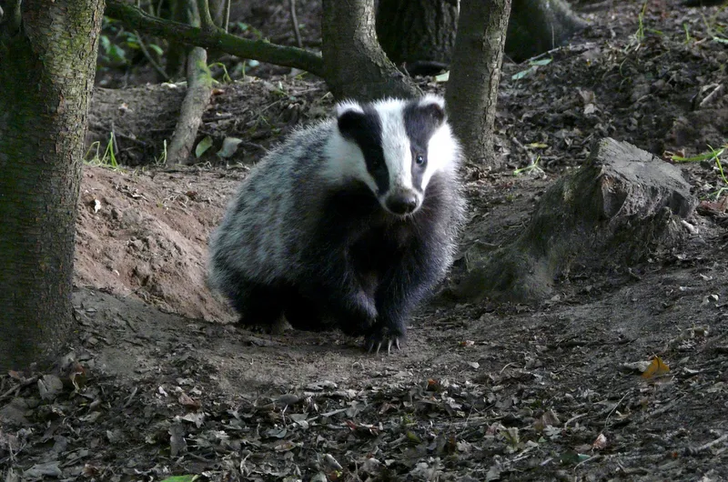 2020 09 02a sporen in het landschap das foto bert van opzeeland lr