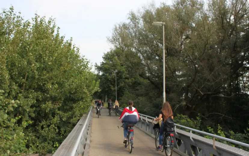 2020 10 11 nmvh persbericht bezwaar kapvergunning gol drunen en waalwijkimg 9318 915x518 1