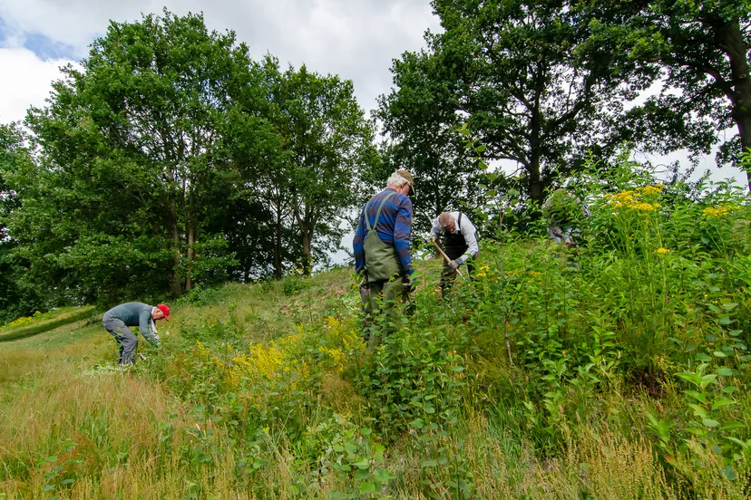 2020 12 02y heidijk8 foto ate dijk