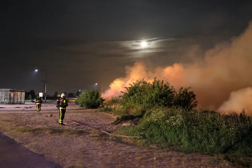 20200510030424 fpmb5443