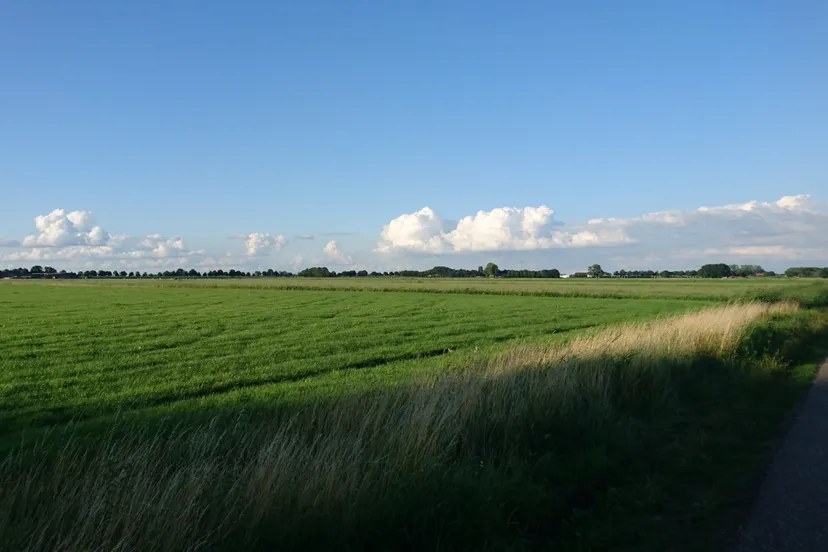 2021 03 03a nmvh persbericht luchtkwaliteit 11f dsc 0249