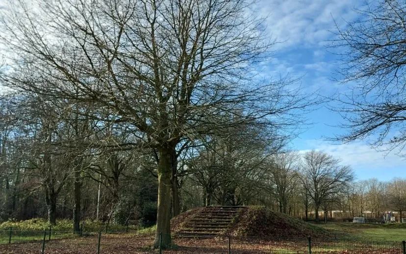 20210110 131554 1 915x518 1