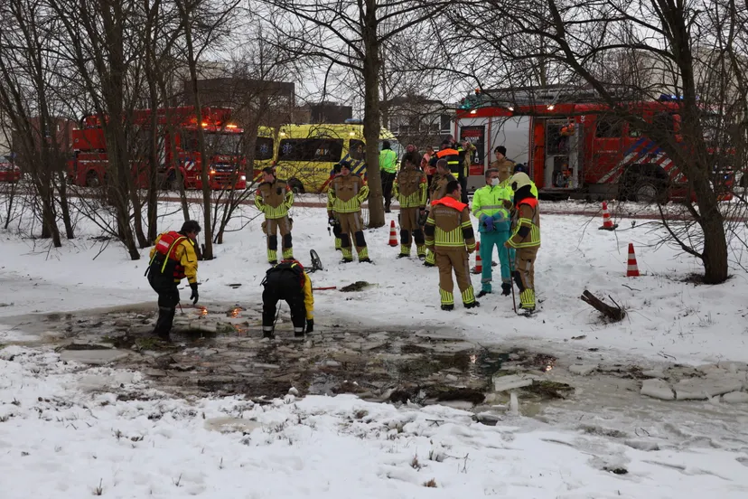 20210210170245 fpmb0369