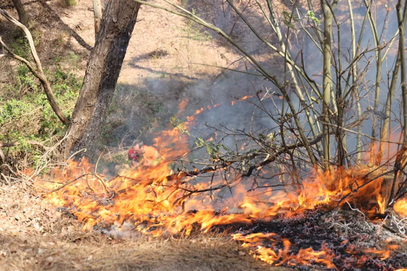 20210425132114 fpmb1107