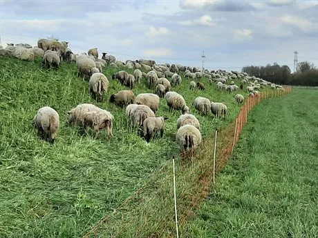 20210617 persbericht maaiendijkengestart