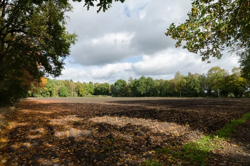 2022 12 11 te beplanten perceel foto ate dijk