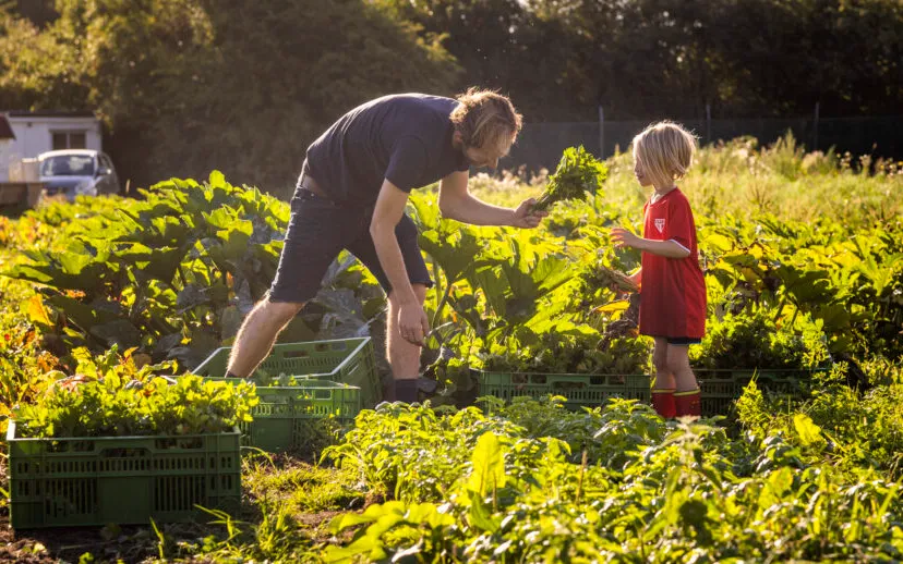 2022 heemstede markvstokkom 34 915x518 1