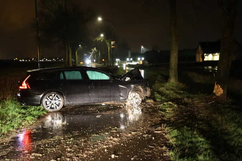 20220206014829 fpmb1134