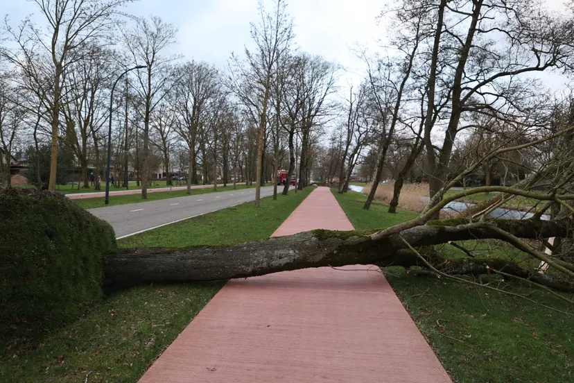 20220218173643 fpmb1227