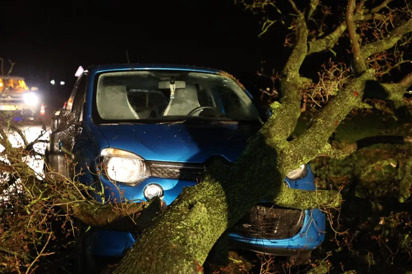 20220220233015 fpmb1258