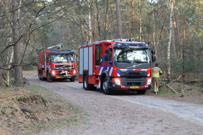 20230227181845 img 2848