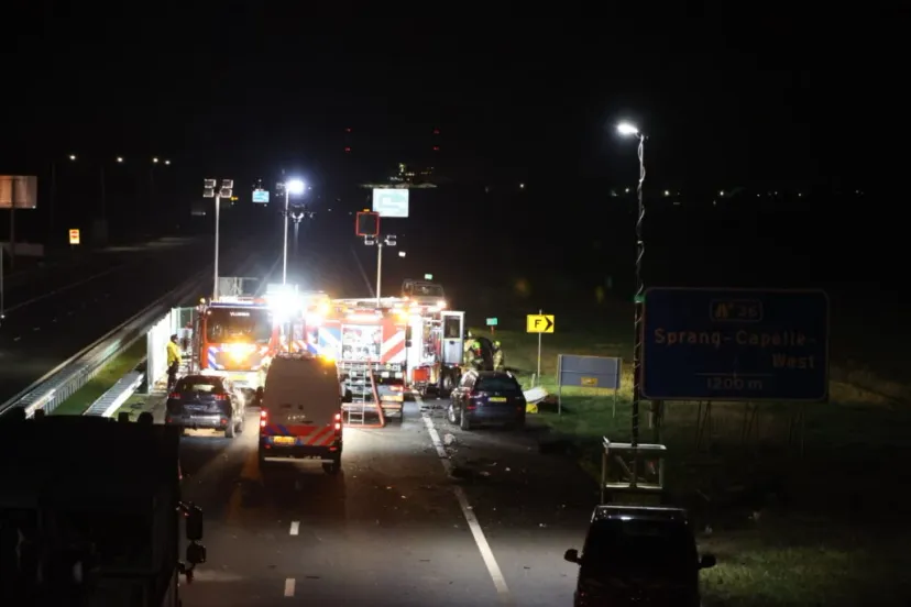 20230311020233 fpmb8415 1024x683 1