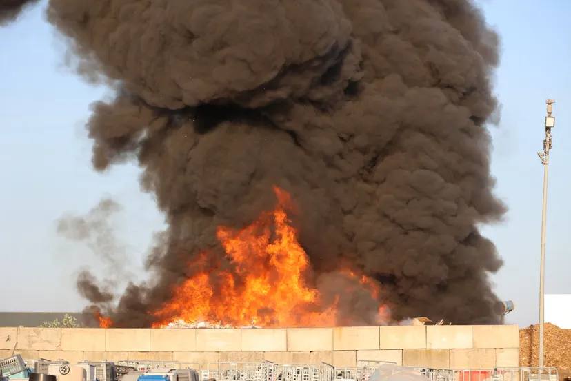 20230908184657 fpmb1491