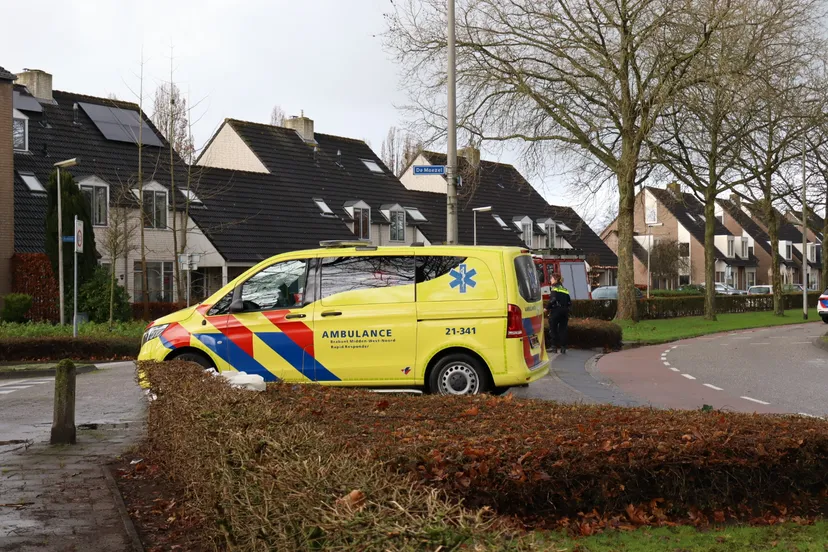 20231221125213 img 6501