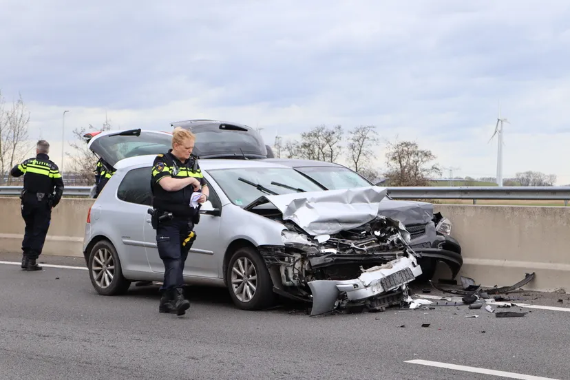 20240328154312 img 1708