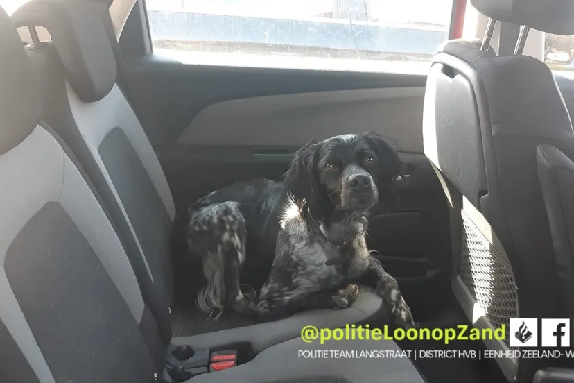 235135797 105661711828377 6091896100994132951 n