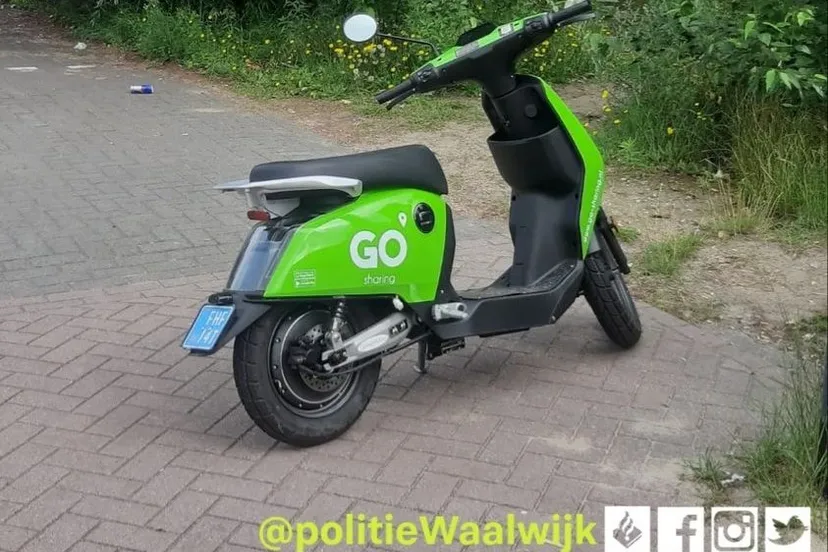 235588081 193428722818355 8910213167361863796 n