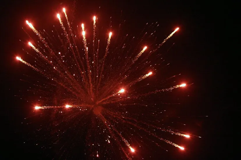 250789998 c70a5a6df0 b