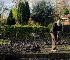 250934820 423101115927655 7191311375120740587 n