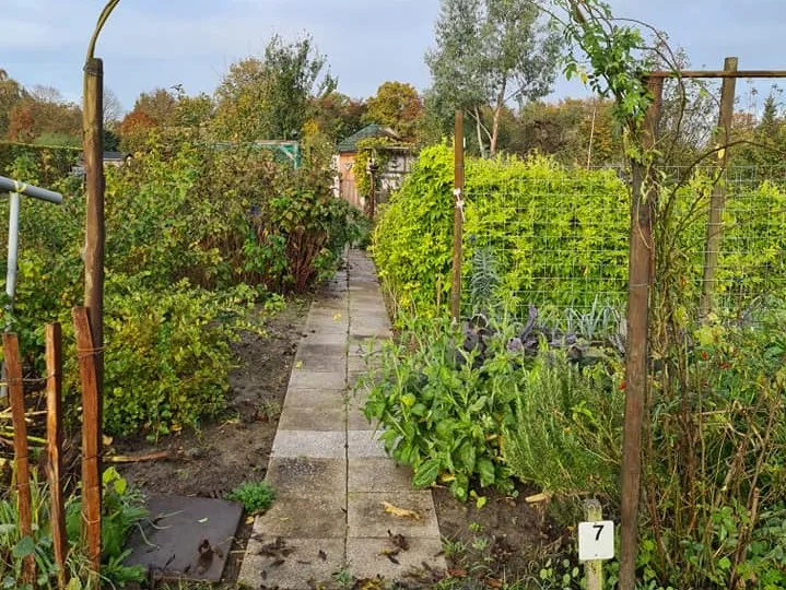 253313702 2885773728403173 5955617371934816542 n 1