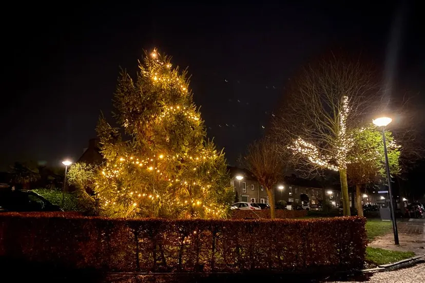 264931979 4558112947575506 6774878519145278353 n