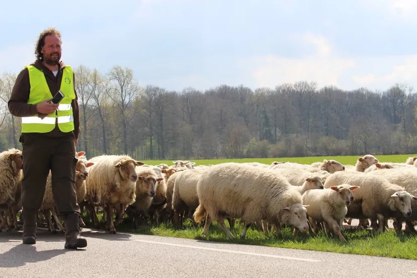 273524832 309773554523490 8537010073899495211 n