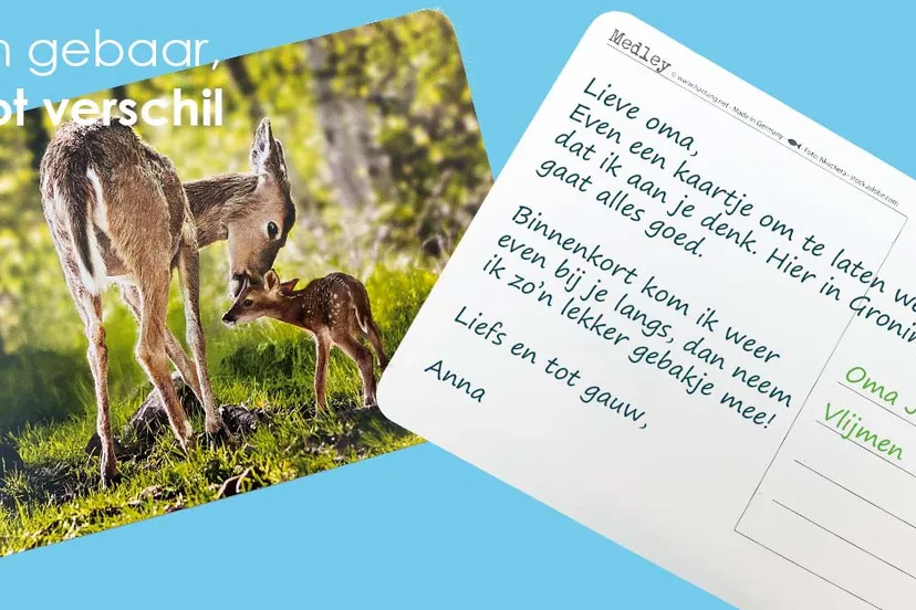 299123980 432000145634163 4707769008316128683 n