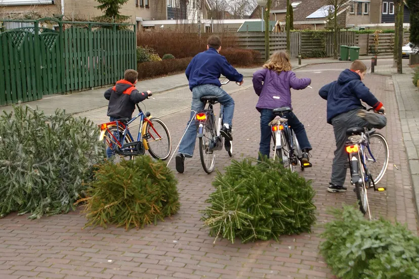 3062636455 b42106d1ee b