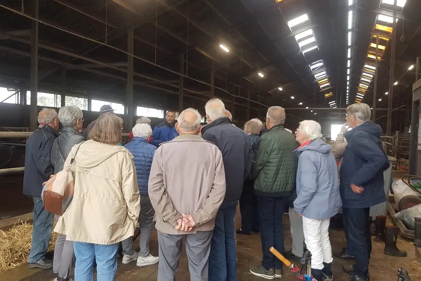 317a9674 7ea9 4193 8597 0efac9657039 1 105 c