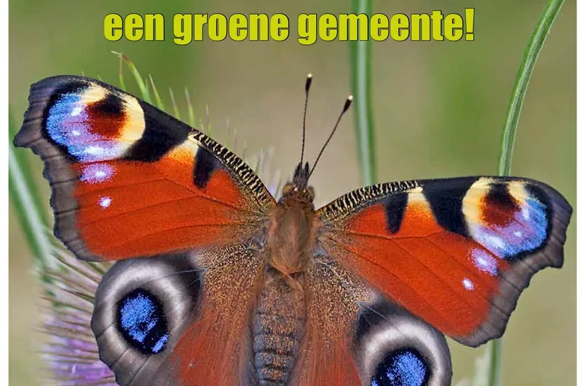 333333333333333333333333333333