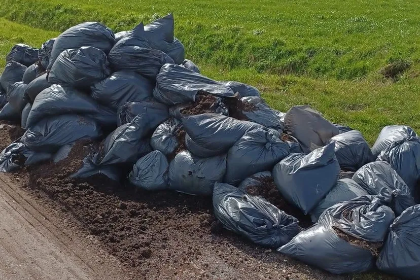 336799394 259591503064476 8072616175986907621 n 1