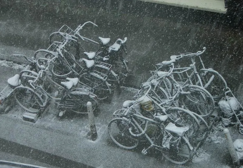 3428024713 6578064d92 o