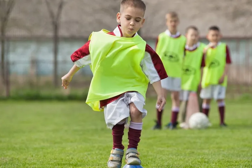 372916571 330373909347025 6762185719188299113 n 1