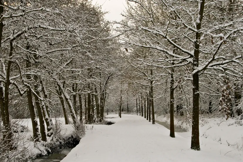 4240077971 9f9911c70c b