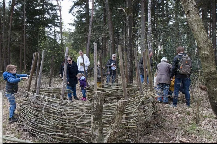 44444444444444444444444