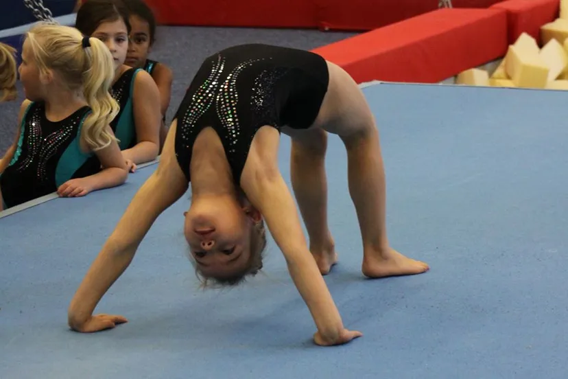 46935626 1958841287567478 1109836759220355072 n 2