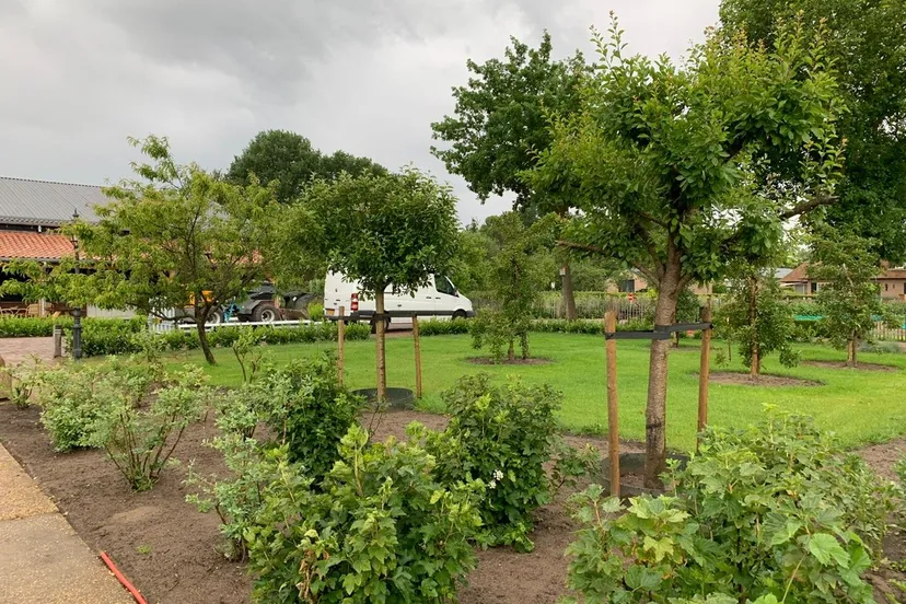 4da6aad5 677d 42ee ad21 990957efbb70